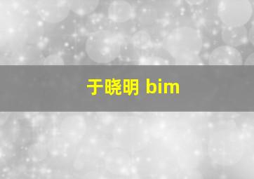 于晓明 bim